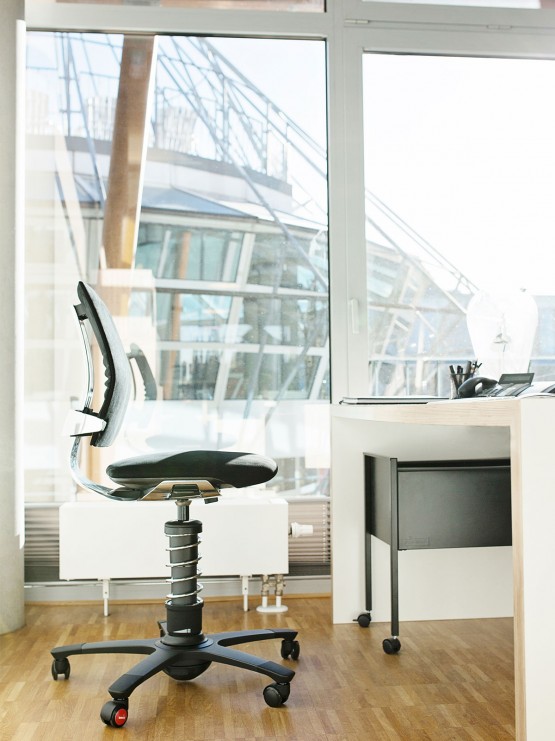chaise ergonomique AERIS 3Dee (2) chaise ergonomique AERIS 3Dee (2)